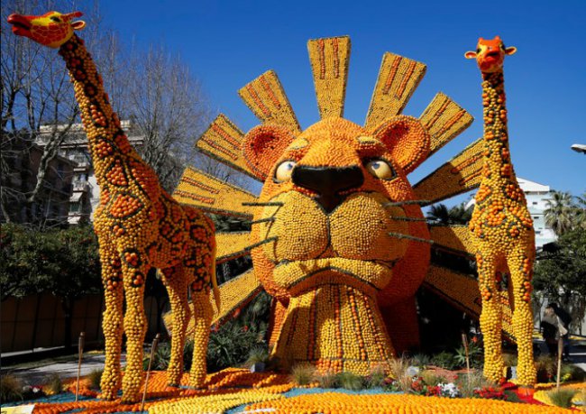   :    Lenon Festival