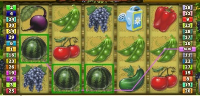   Farm Slot