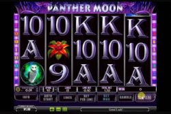 Panther Moon
