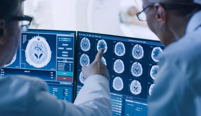   Neuralink:  ,    