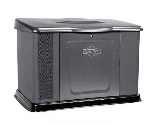    Briggs & Stratton    